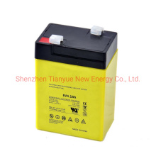 6V 4.5ah Sealed Lead Acid Maintenance Free Battery for UPS/Electric Torch/Weighing Scale/Medical Equipment